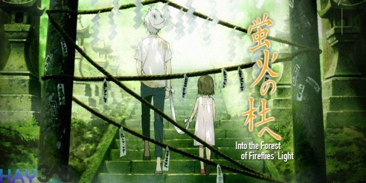 Phim Anime tình cảm - Khu Rừng Đom Đóm (Hotarubi No Mori e)