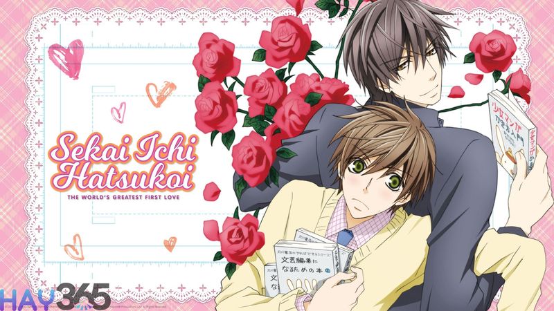 Mối Tình Đầu Vĩ Đại Nhất Thế Giới kể về câu chuyện tình yêu ngọt ngào giữa Ritsu và Takano
