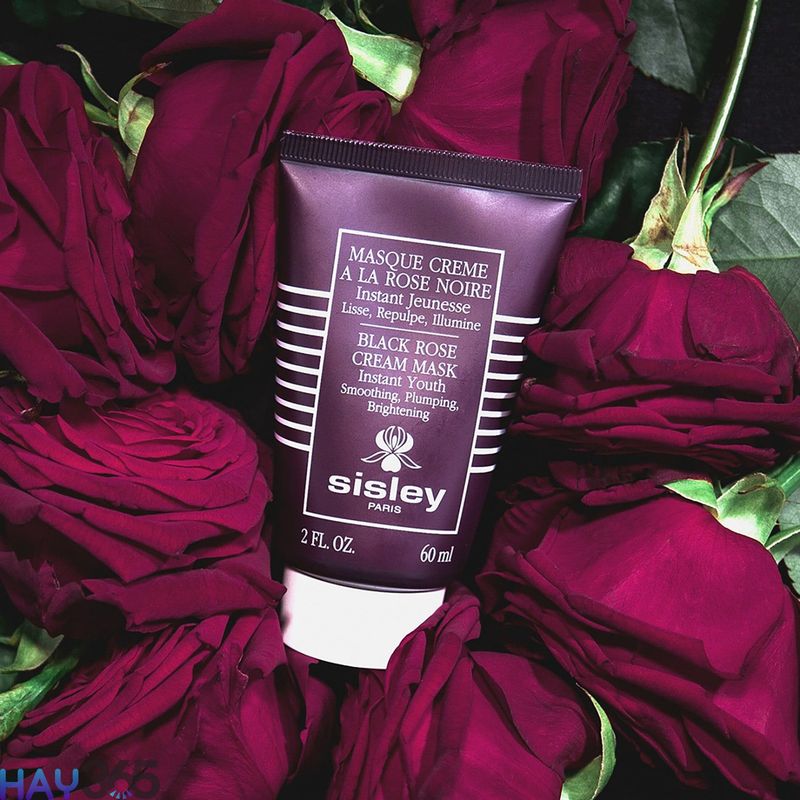 Sisley Black Rose Cream Mask thuộc phân khúc mặt nạ ngủ cao cấp