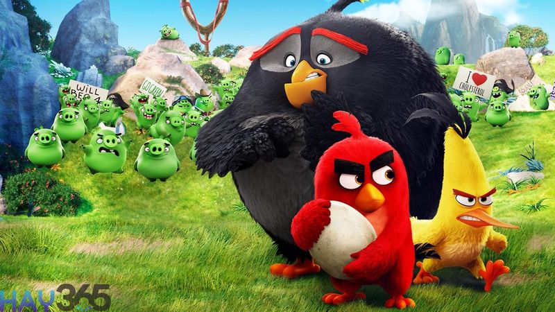 Angry Bird là phim hoạt hình 3D gặt hái được nhiều thành công