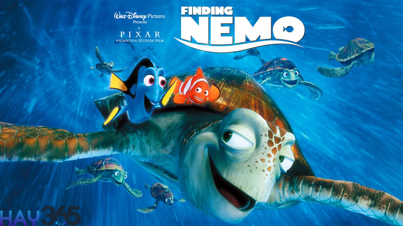 Đi Tìm Nemo là hành trình đi tìm con trai đi lạc Nemo của Marlin