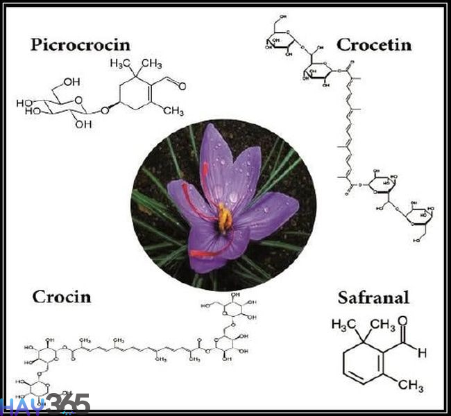 Saffron chứa nhiều chất chống oxy hóa, phòng ngừa ung thư